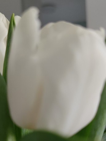 1669085 image 1